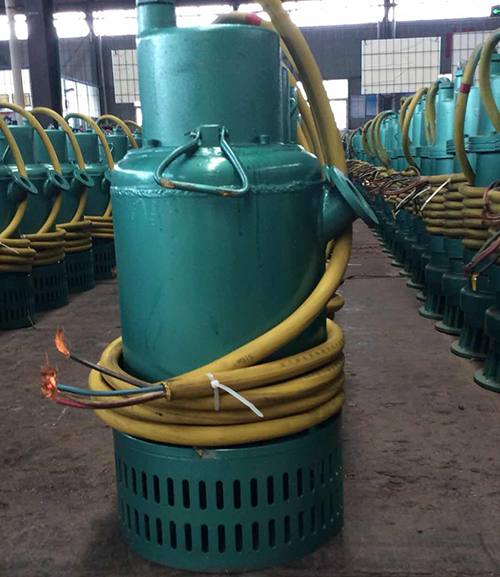 防爆(bao)排污泵(beng)圖片