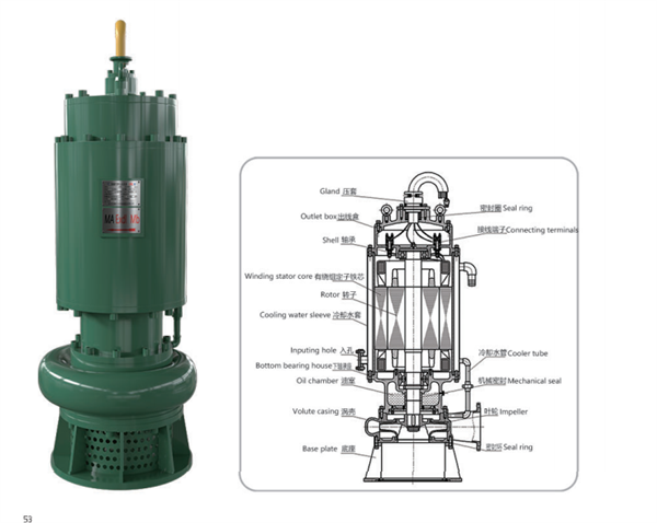 半内裝式(shi)電泵